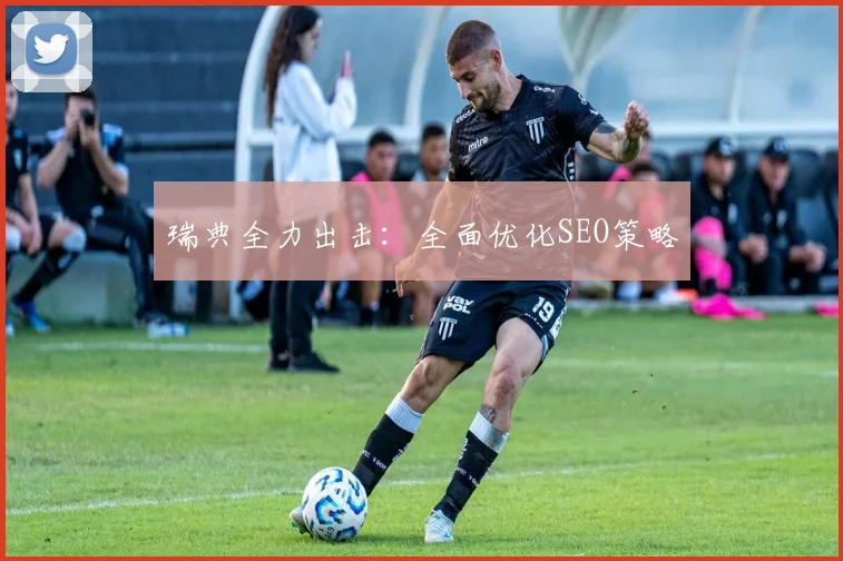 瑞典全力出击：全面优化SEO策略