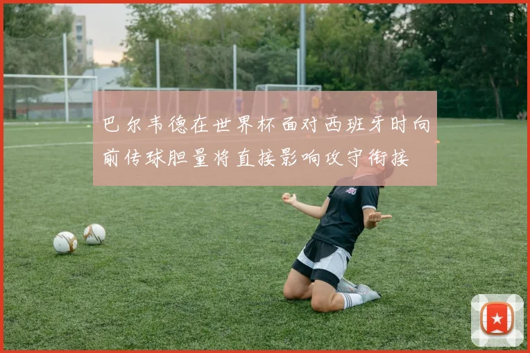 星空中国官网-专业服务与权威资讯