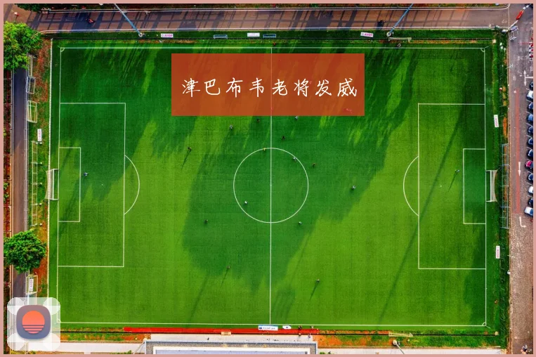津巴布韦老将发威
