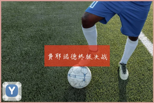 费耶诺德终极决战
