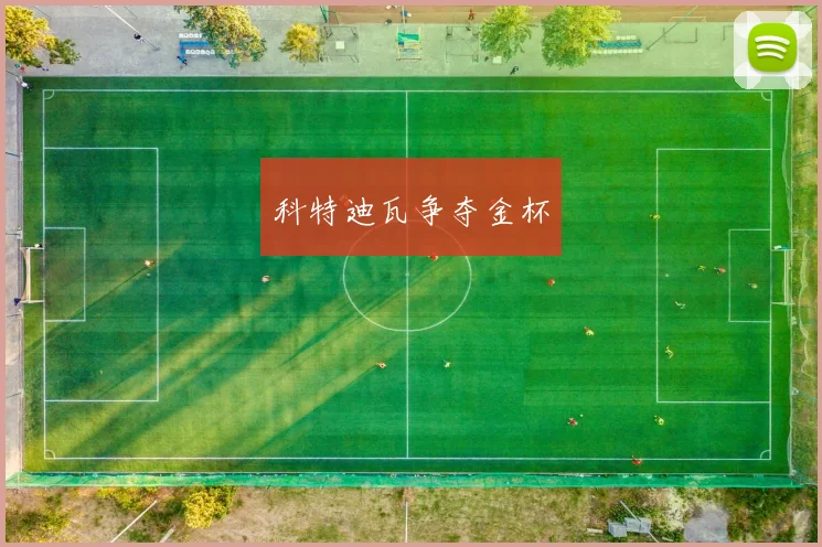 科特迪瓦争夺金杯