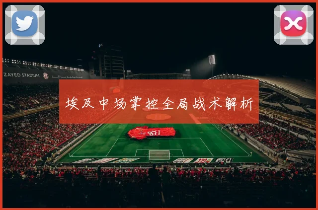 埃及中场掌控全局战术解析