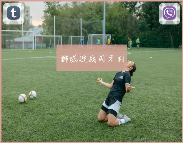 挪威迎战匈牙利