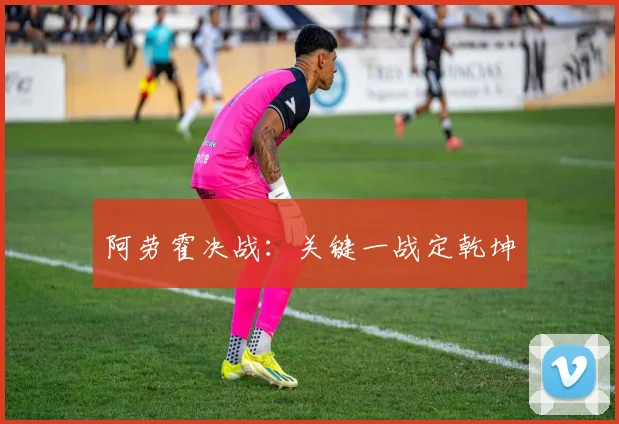 阿劳霍决战:关键一战定乾坤