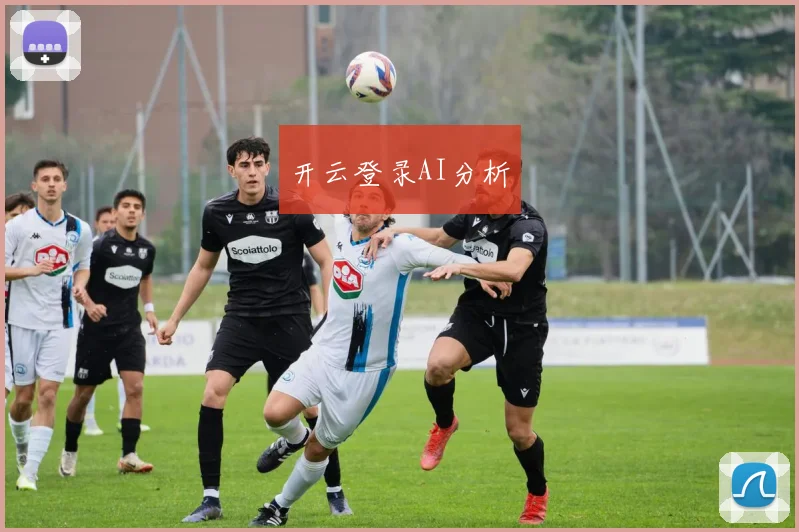 开云登录AI分析