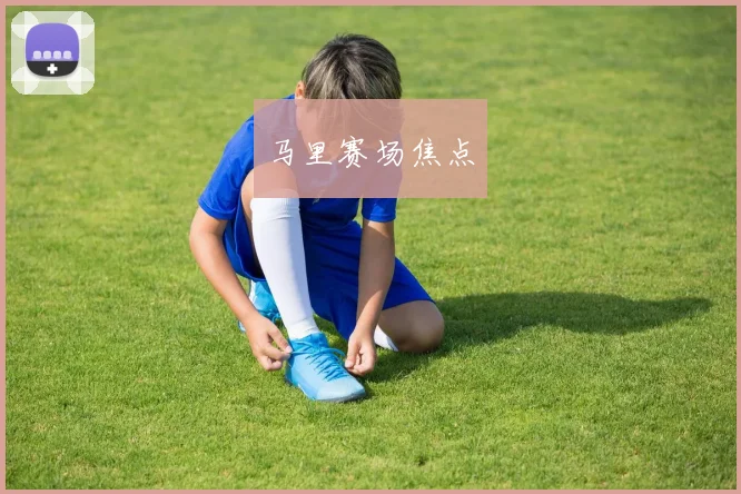 马里赛场焦点