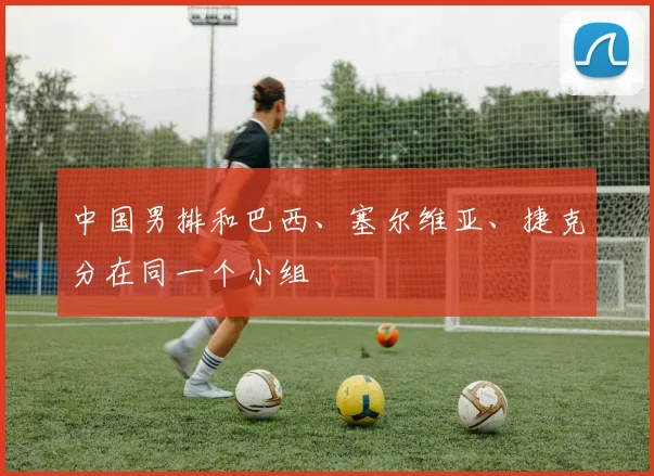 中国男排和巴西、塞尔维亚、捷克分在同一个小组