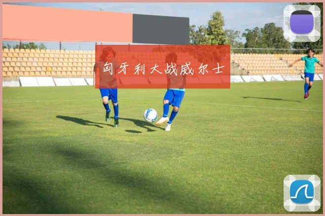 匈牙利大战威尔士