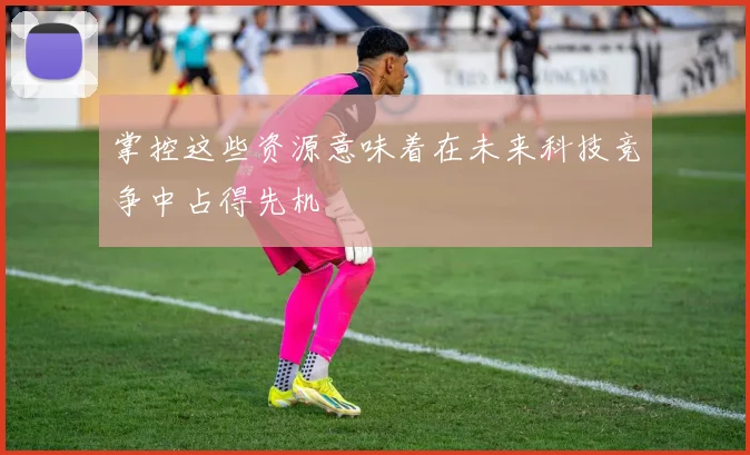 掌控这些资源意味着在未来科技竞争中占得先机