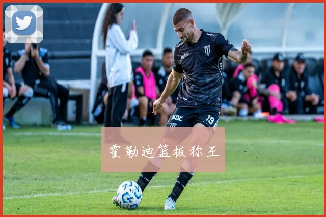 霍勒迪篮板称王