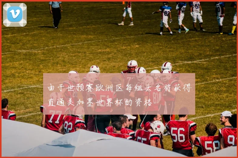 由于世预赛欧洲区每组头名将获得直通美加墨世界杯的资格