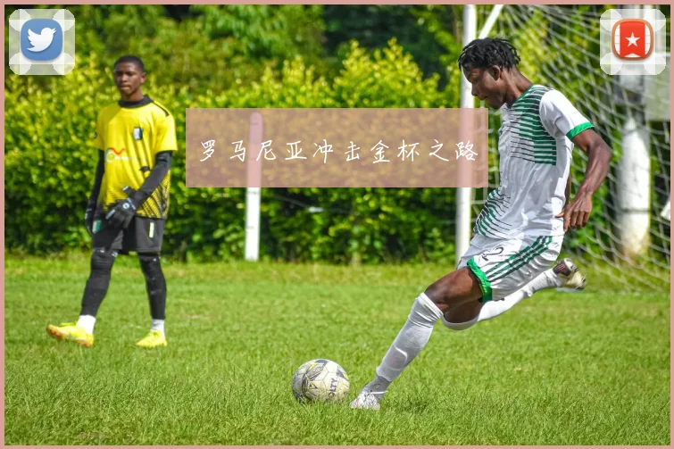 罗马尼亚冲击金杯之路