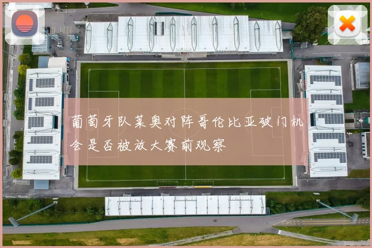 葡萄牙队莱奥对阵哥伦比亚破门机会是否被放大赛前观察
