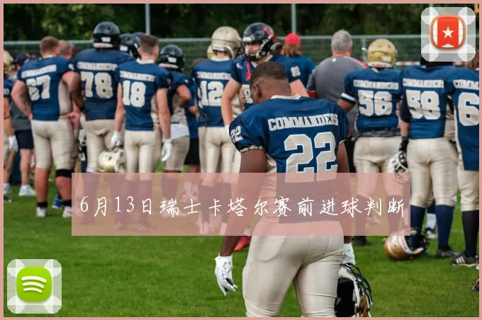 6月13日瑞士卡塔尔赛前进球判断