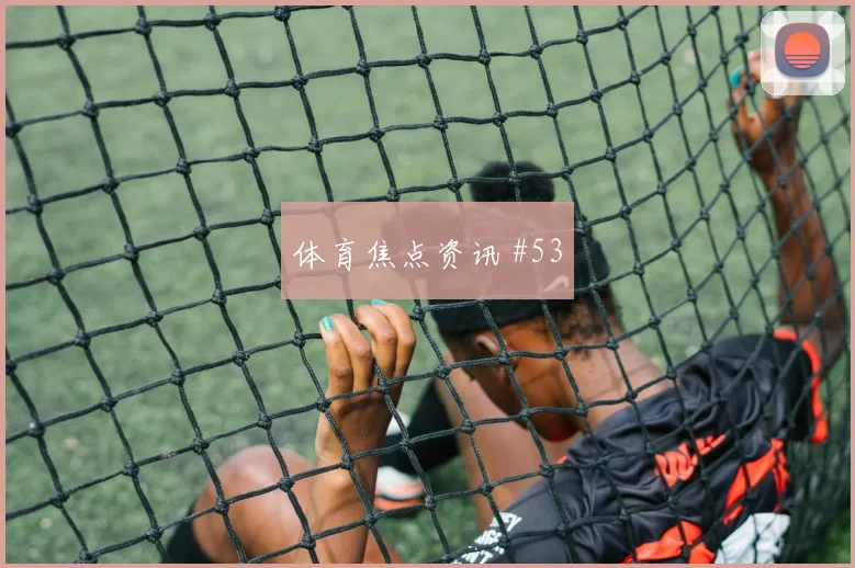 德米洛维奇世界杯小组赛队内作用解析