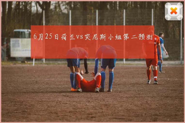 6月25日荷兰vs突尼斯小组第二预测